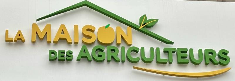 RÉALISATION d’un PLAFOND à VOÛTAINS